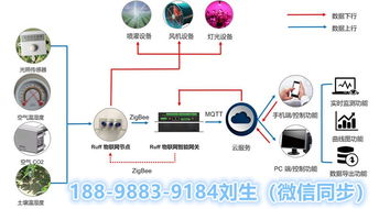 智慧農業物聯網技術開發及整體解決方案網頁設計