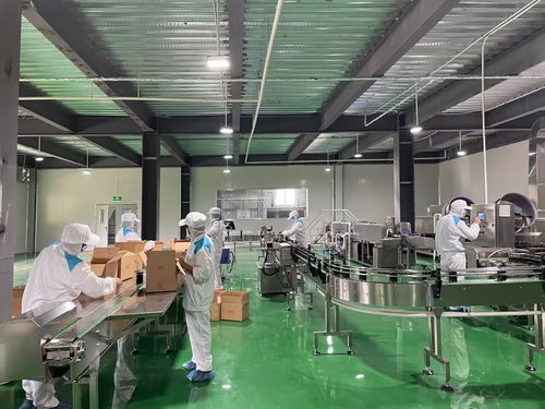 廣元青川 做優特色農產品精深加工，以生態工業引領高質量發展